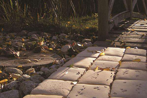 Kostka Naturyt (fot.: Bruk-Bet)