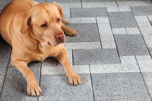 Kostka Romano (fot.: Libet)