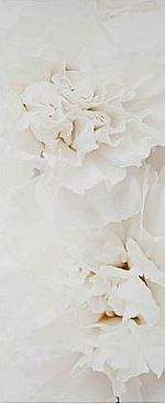 Inventio Inventio - grzejnik Instal Projekt