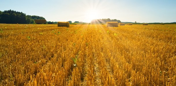 Inwestycja w ziemię rolną, a prawo pierwokupu