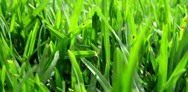 „Zielone technologie”. Nisza specjalizacyjna dla budownictwa „Zielone technologie”. Nisza specjalizacyjna dla budownictwa