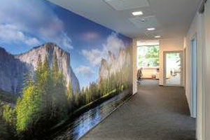 Trendy w projektowaniu powierzchni biurowych