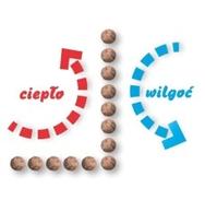 schemat izolacji piwnicy